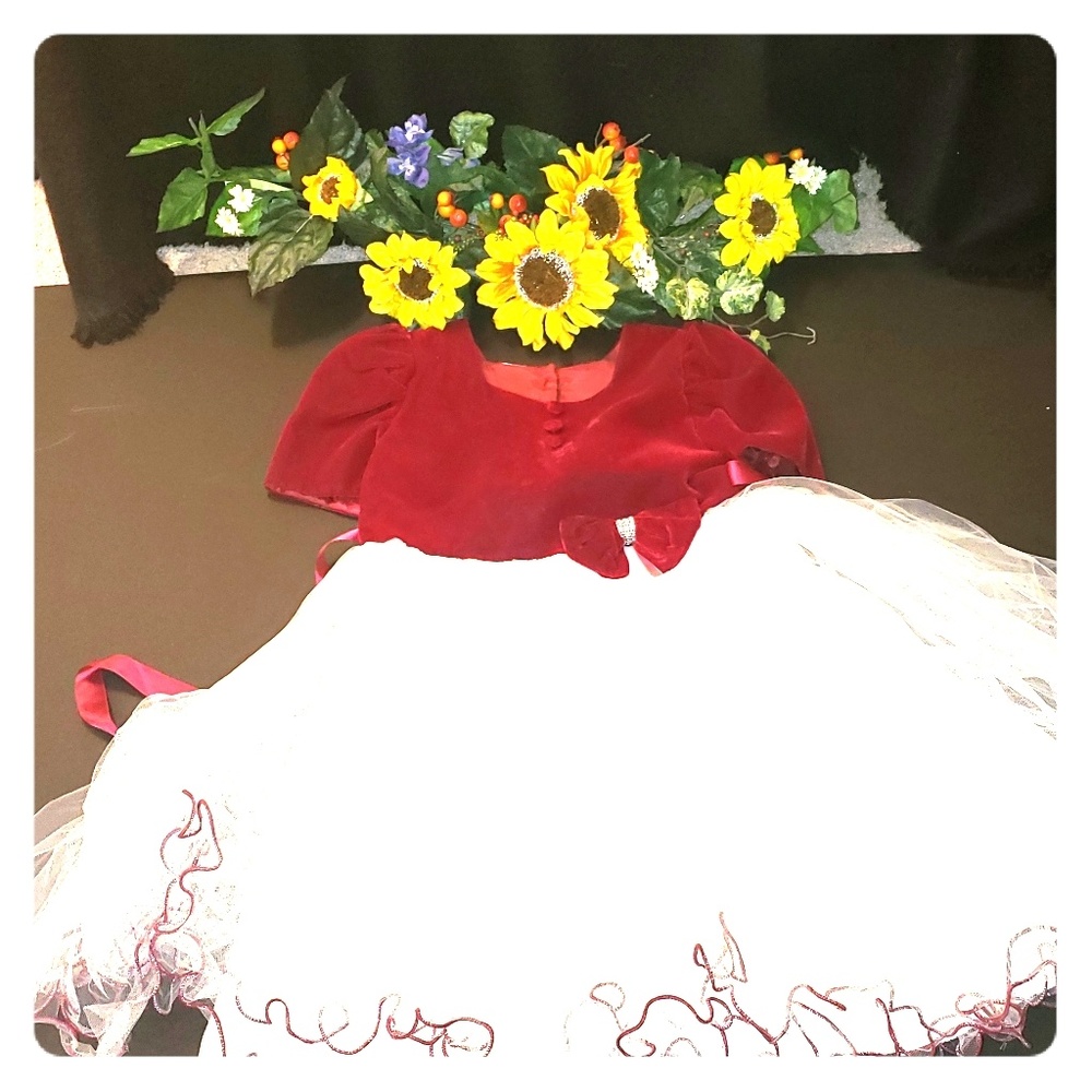 Girls velvet and tulle dress